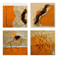 Cracked of Orange and Brown